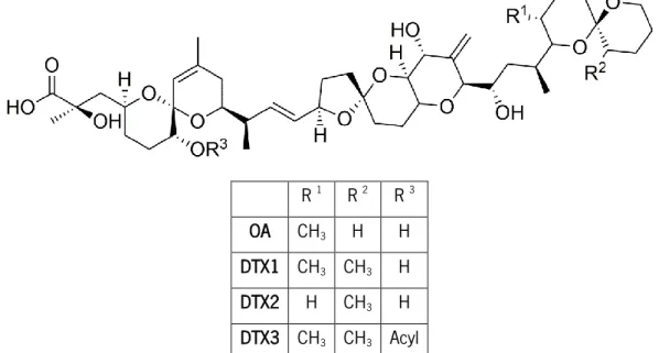 Figure 1 – Molecular structure of okadaic acid and dinophysistoxins. 