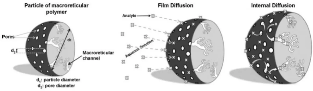 Figure 7 – How an analyte diffuses in a common adsorbent (Fux  et al. , 2008). 