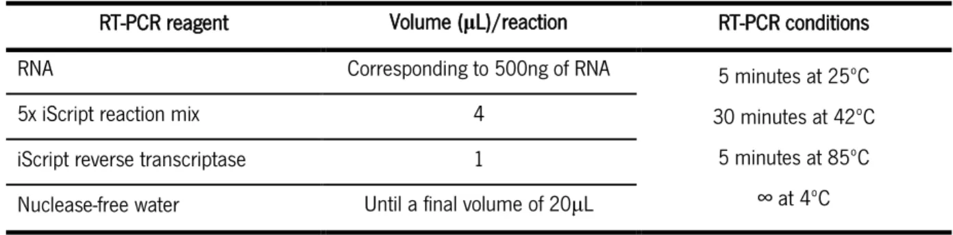 Table 3  - Mix and reaction conditions used for the RT-PCR. 