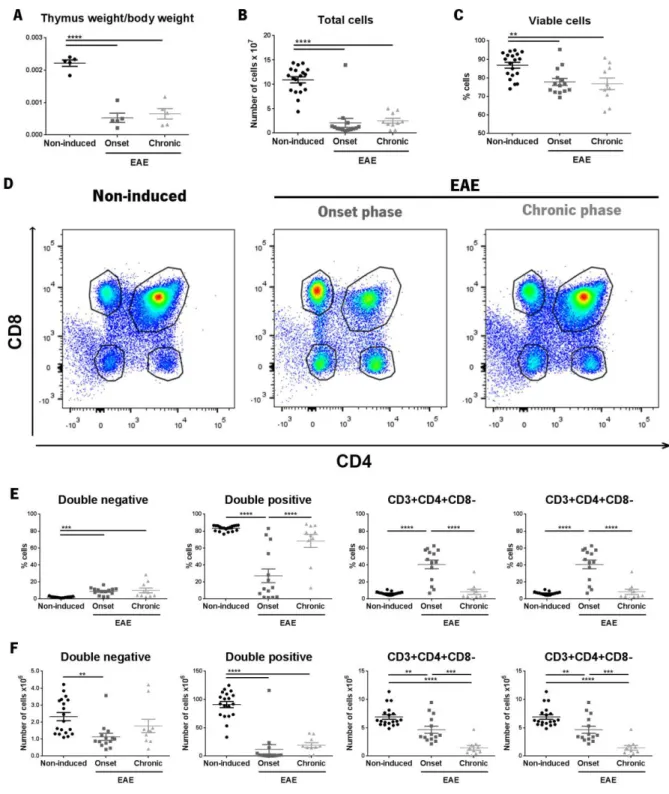 Figure  7  –  Thymus  flow  cytometry  results .  Animals  induced  with  EAE  presented  thymic  atrophy,  as  assessed  by  the  thymus  weight,  normalized for total body weight (A), and the total cell number per  μ L, counted in the MUSE ®  cell analys