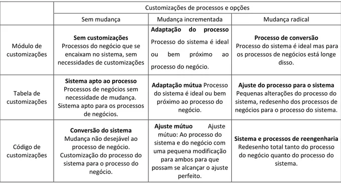 Tabela 4 - Customizações de processos e opções (Retirado de Strong &amp; Wenhong (2004)) 