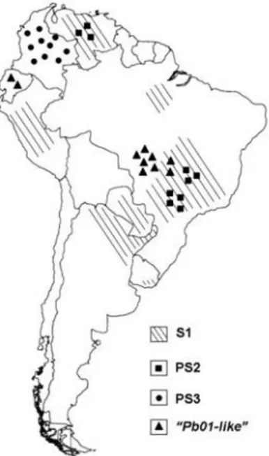 Figure  1. Geographic distribution of the phylogenetic species of  Paracoccidioides  genus