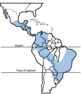 Figure  3.  Geographic  distribution  of  Paracoccidioidomycosis. Blue  areas  represent  regions  with  high  incidence,  including  Brazil, Venezuela and Colombia