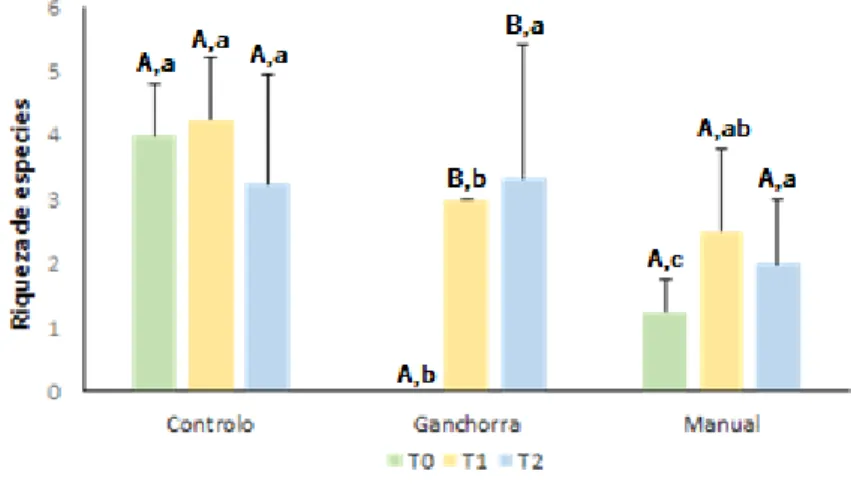 Figura 6. Riqueza de espécies da fauna associada aos diferentes tratamentos (C, G e M) ao longo do tempo (T0, T1  e T2)