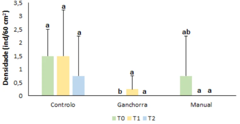 Figura  9.  Média  (±dp)  da  densidade  (ind/60  cm 2 )  da  espécie  Streblospio  benedicti   associada  aos  diferentes  tratamentos (C, G e M) ao longo do tempo (T0, T1 e T2)