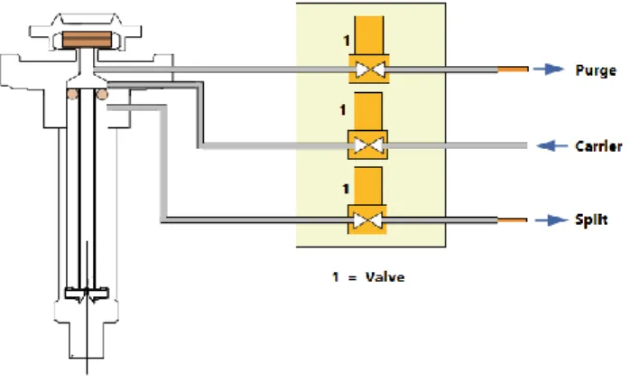 Figure 1.4. A schematic of the injection system of GC, showing particularly the split line (adapted from Thermo Scientific, 2014) 