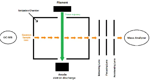 Figure 1.5. A schematic of an ion source of MS (adapted from De Hoffmann et al., 1996) 