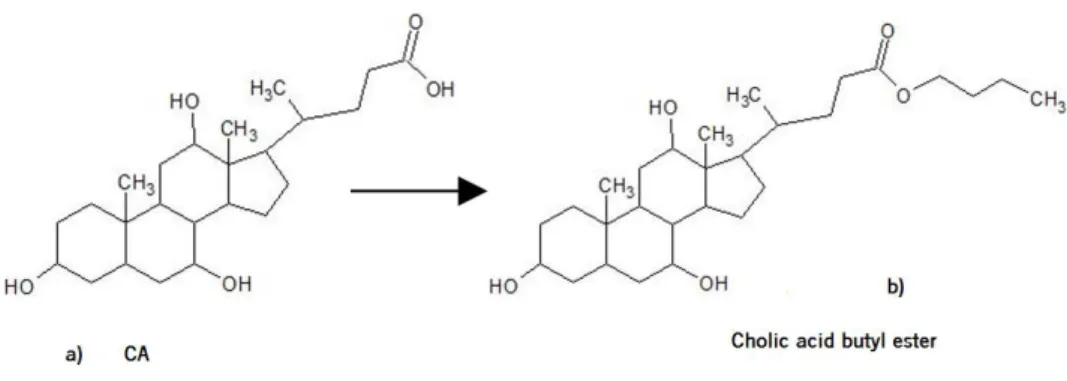 Figure 1.8. Representation of reaction in esterification process for Cholic Acid 