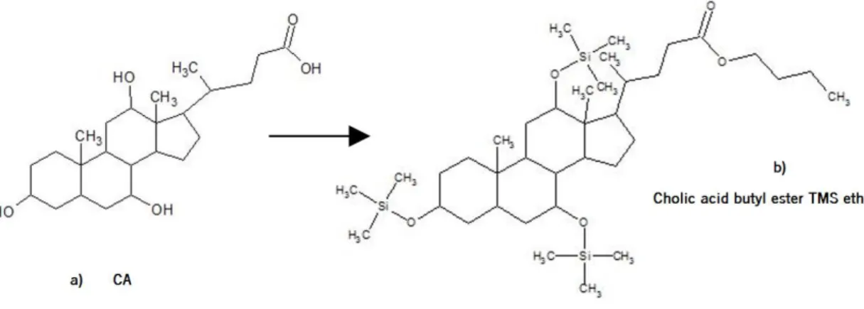 Figure 1.9. Representation of a – Cholic Acid; b – Cholic Acid after suffer esterification and silylation processes 