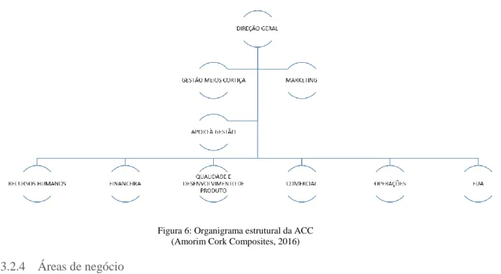 Figura 6: Organigrama estrutural da ACC   (Amorim Cork Composites, 2016) 
