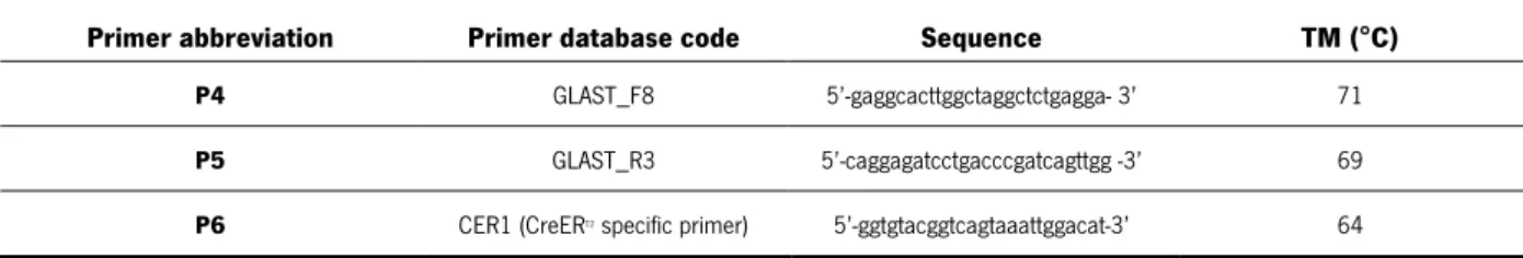 Table  2.  List  of  PCR  primers  sequence  needed  to  genotype  GLAST:  CreER T2   mice  and  respective  melting  temperature (TM) 