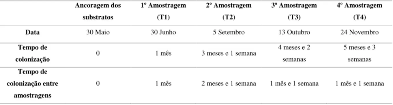 Tabela 1- Cronologia da amostragem dos substratos entre os meses de maio e novembro de 2016.