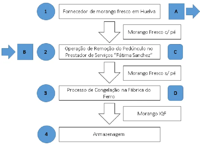 Figura 3 - Processo de primeira transformação do morango 