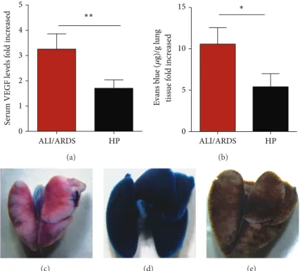 Figure 6: Increased vascular permeability and serum VEGF protein conirmed the predictive criteria for malaria-associated ALI/ARDS