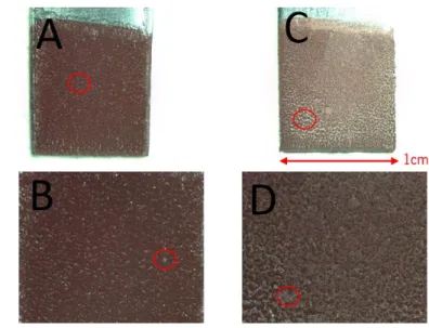 Figura 5-1: Vista ao microscópio; A: Amostra 1 ampliação 0,75x, B: Amostra 1 ampliação 2,5x, C: Amostra 2 ampliação 0,75x, D: 