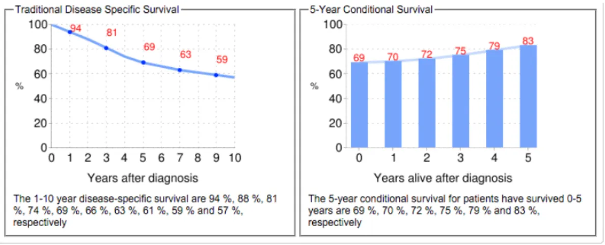 Figure 26 .: Results of the browser-based calculator to predict individualized disease-specific survival and conditional survival for rectal cancer patients [ 9 ].