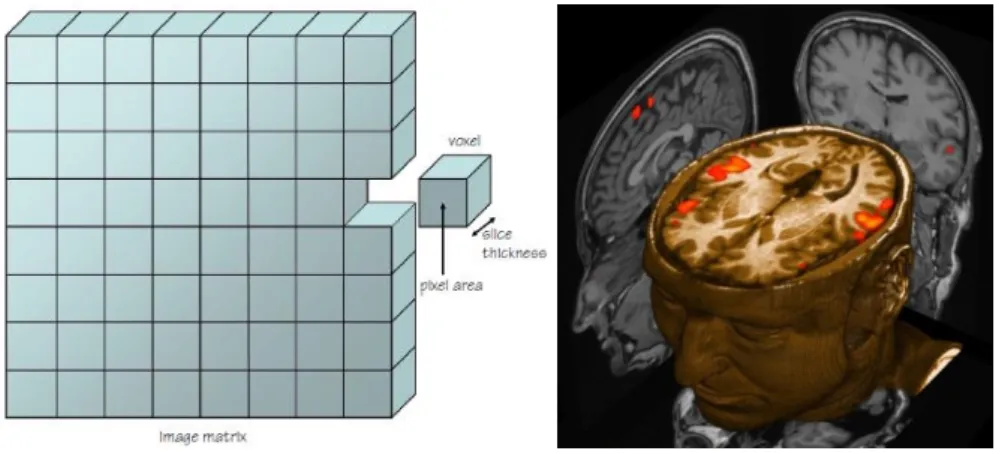 Figure  6:  Representation  of  a  Voxel  (volume  element).  Represented  in  red  the  voxels  where  functional  activation was detected [145]