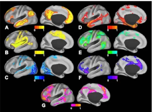 Figure 8: A- Default mode network. B- Somatomotor network. C- Visual network. D- Language network