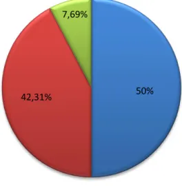 Gráfico 11. Percentagem de Imagens Dia 9 de Agosto – “Record” 