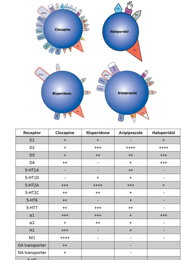 Figure  1 –  Schematic  representation  of  receptor  targets  (a)  and  affinity  (b)  of  different  antipsychotics