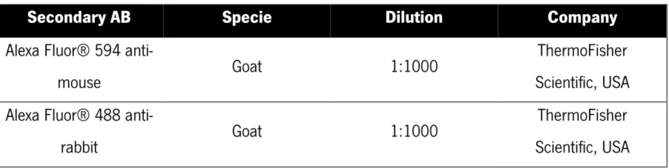 Table  2.  Dilutions  and  specificities  of  the  secondary  antibodies  (AB)  used  in  the  immunofluorescence protocol