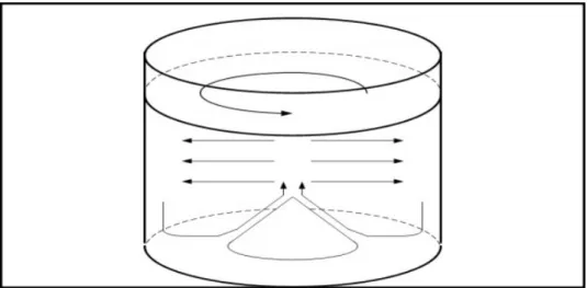 Figura 7 Movimentação do mosto e das partículas sólidas no Whirpool, depositando o trub no centro do  tanque, formando uma pirâmide (adaptado de Matos, 2011)