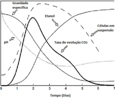 Figura 10 Representação gráfica dos perfis de pH, densidade do mosto, etanol, CO 2  e  células em suspensão no decorrer da fermentação (adaptado de Priest,  et al ., 2006)