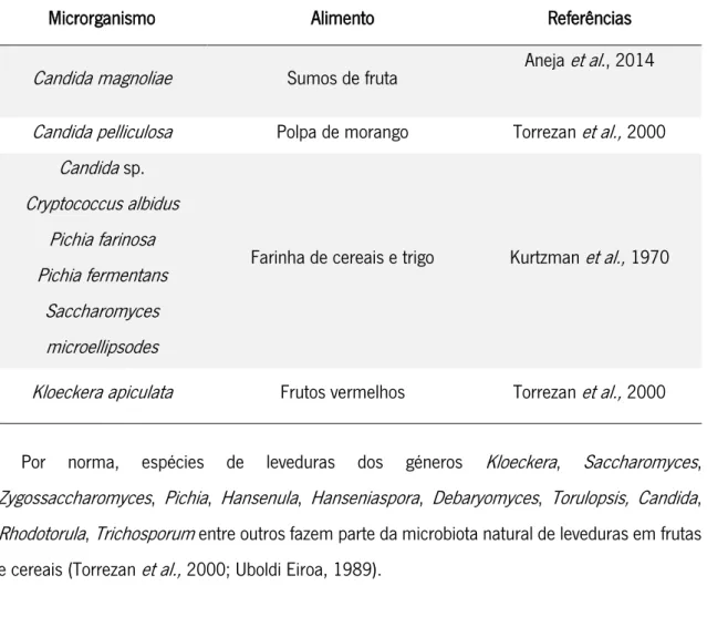 Tabela 4  –  Leveduras potencialmente presentes em frutos vermelhos, cereais e produtos complementares
