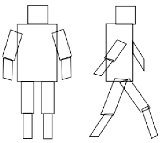 Figure 13- The Cardboard Person Model [14]. 