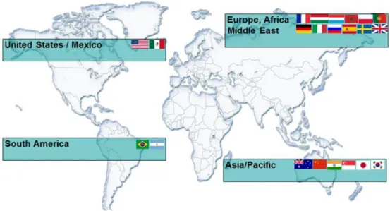 Figura 6 - Delphi Global 