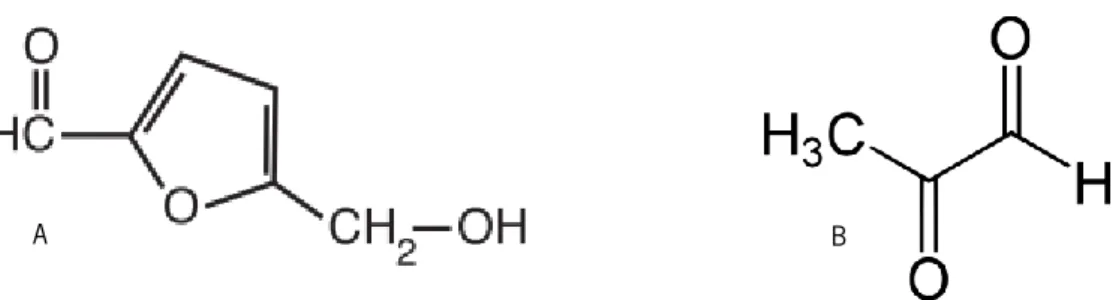 Figura 2: A) Estrutura química do hidroximetilfurfural (HMF); B) Estrutura química do metlglioxal (MGO) 