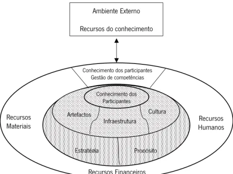 Figura 11 – Tipos de recursos do conhecimento. Adaptado de Holsapple e Joshi (2002, p