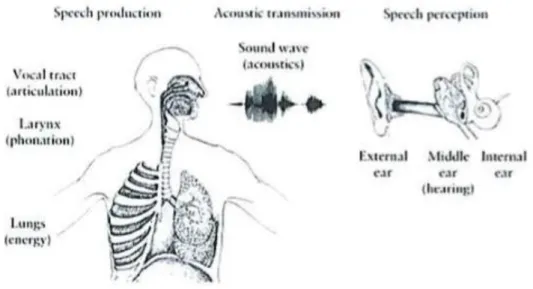 Figure 3. The speech chain (Reetz &amp; Jongman, 2009, p. 2) 
