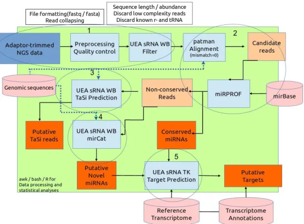 Figure 8 – miRPursuit workflow. Step 1 – After removal of the sequencing adaptor from the reads (“Adaptor  trimmed NGS data”), reads from each library are further processed individually by “Preprocessing Quality control” and 
