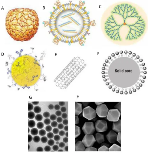Figure 6 - Examples of nanoparticles used in the cosmetic industry. Polymeric nanoparticles (A); 