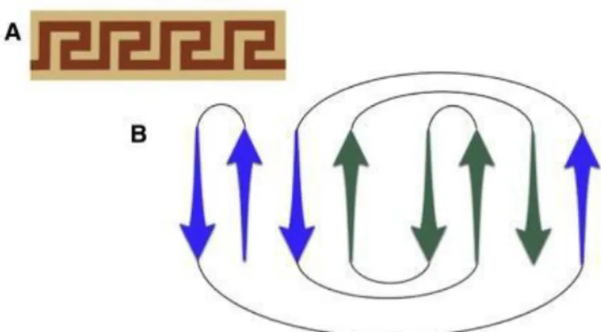 Figure 9 - Greek key motif structure of crystallins. Pattern from Greek pottery (A) and bi-dimensional  representation of crystallin motif (B).[35] 