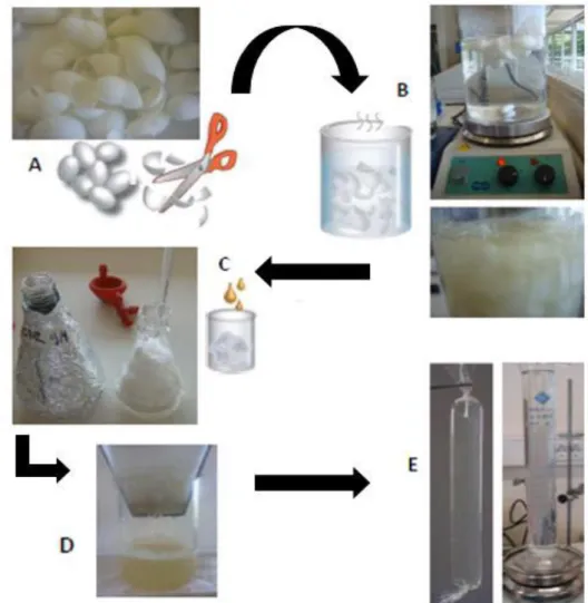 Figure 15 – Schematic representation of silk fibroin processing.  Bombyx mori silkworm cocoons  (A); Degumming process (B); Dissolution of degummed silk in LiBr 9 M (C); Filtration process (D); 