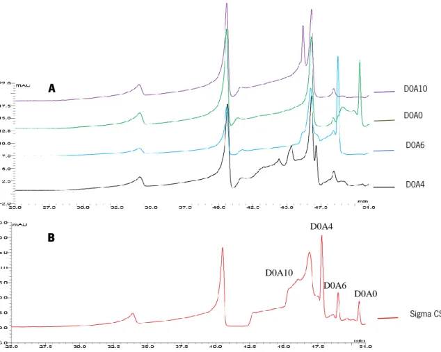 Figure 2.4 - HPLC chromatogram of the standard samples (A) and chromatogram of Sigma CSA (B)