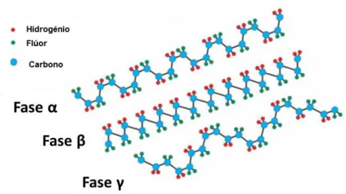 Figura 3.4- Representação esquemática da cadeia de conformação do PVDF para  as f ases α,   e  