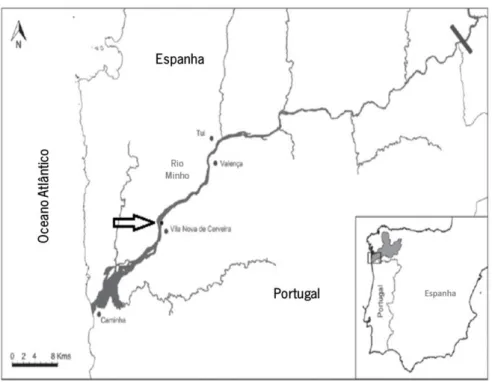 Figura 2: Mapa do Estuário do Rio Minho, mostrando o local de amostragem (assinalado com seta)