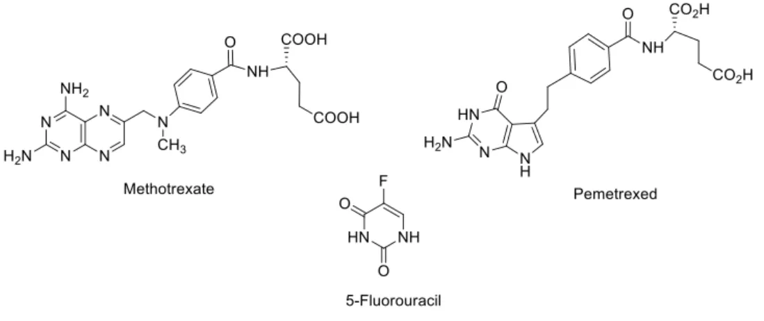 Figure 6. Antimetabolites chemical structures: the examples of methotrexate, pemetrexed and 5-fluorouracil