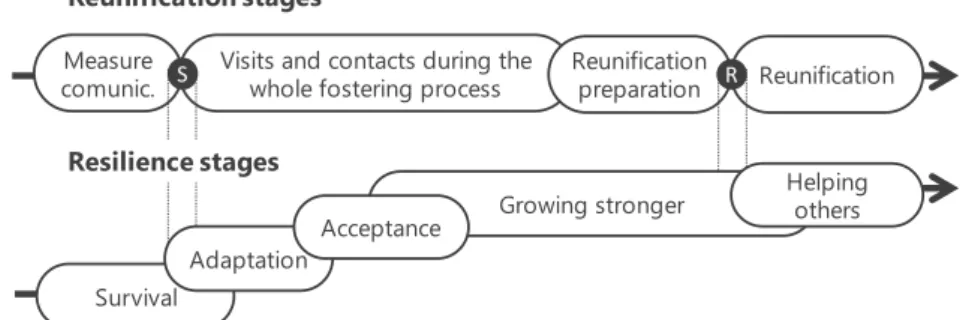 Figure 1-2: Stages at reunification and resilience processes from Balsells, Pastor, Amorós and  collaborators (2015) 