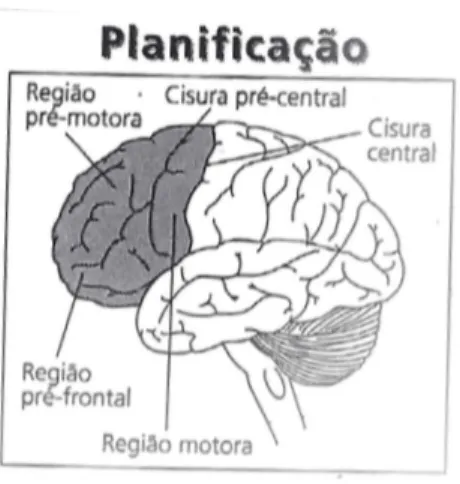 Figura 5 -  Unidade de planificação (Fonseca &amp; Cruz, 2002, p. 77)