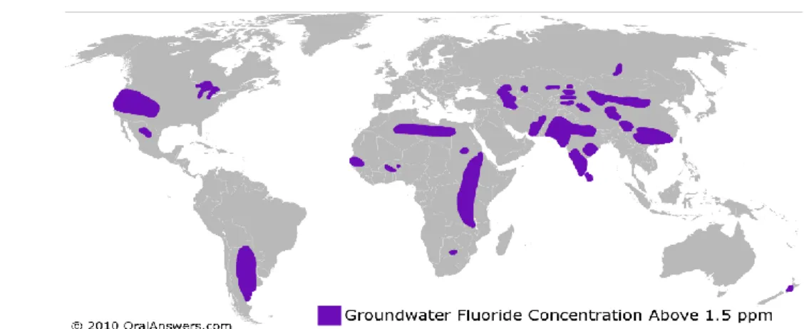Figura  1 – Zonas afetadas por concentrações de flúor acima  dos 1.5  ppm no planeta, imagem  adaptada de 