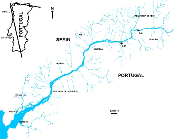 Fig. 3. Map of the River Minho showing the location of the lotic (L1) and lentic (L2) sites chosen for the experiments