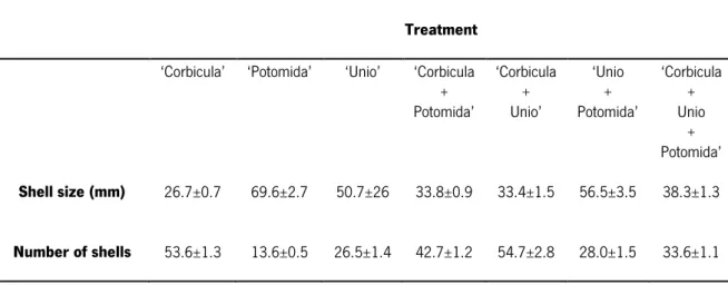 Table 2. Mean (±sd) size (mm) and number of shells used in each of the seven treatments