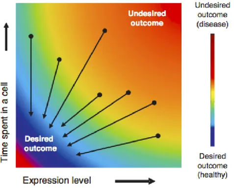Figure 1.5: Hypothetical ”Availability-outcome” landscape of an Intrinsically Disordered protein