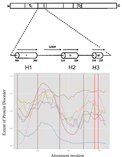 Figure 4.1: On the top, schematic representation of Glucocorticoid Receptor and its three helical propensity regions (H1, H2 and H3) by different predictors