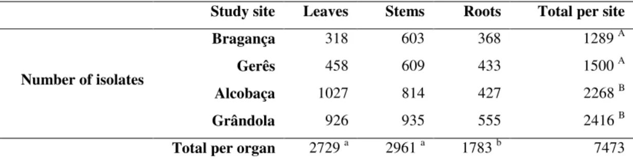 Table  7:  Number  of  isolates  of  fungal  endophytes  by  study  site  and  by  organ
