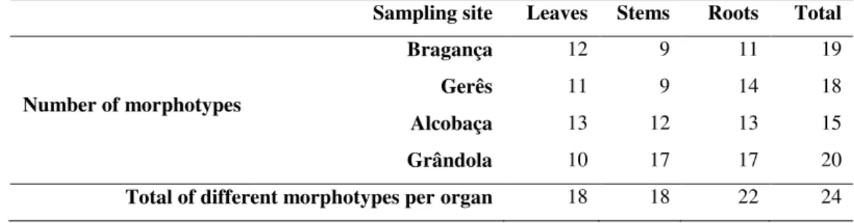 Table 8: Number of fungal morphotypes found in each cork oak organ and sampling sites